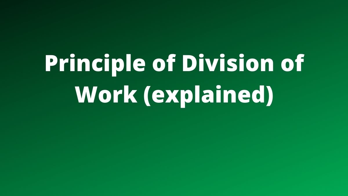 essay of division of work