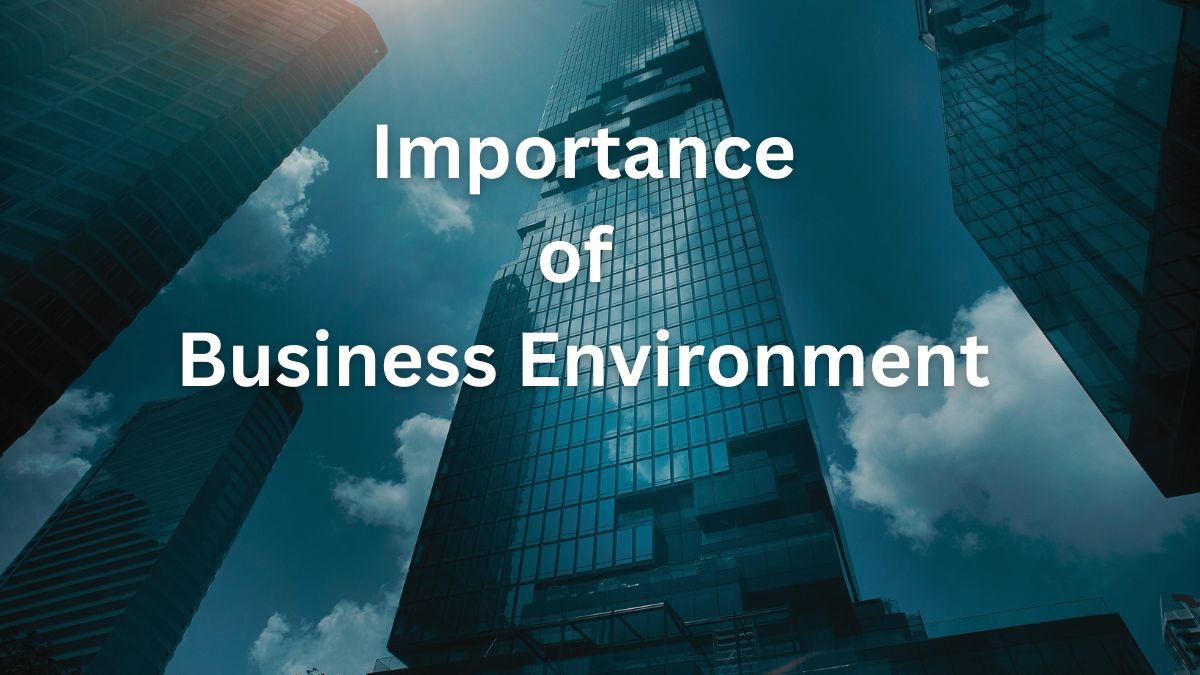 importance of business environment essay