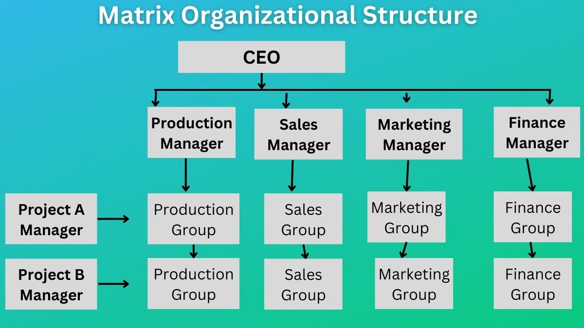 matrix organizational structure case study